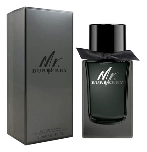 mr burberry profumo opinioni|mr burberry eau de parfum.